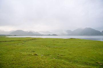 柳州哪些公园可以带狗狗进