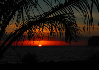 空运单的航空货运单的分类