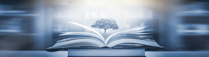 江宁区的地理环境