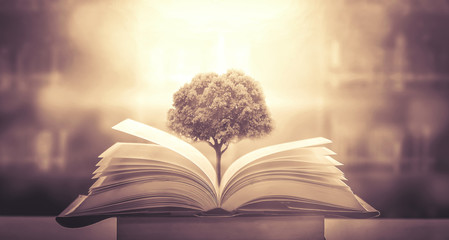 空运单的航空货运单的分类