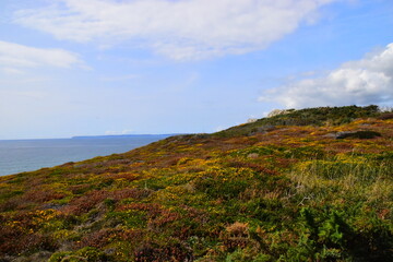 高铁站可以办临时身份证吗