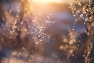 空运单的航空货运单的分类