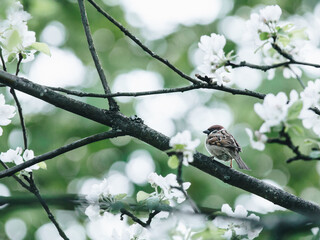 现在去哪旅游最合适