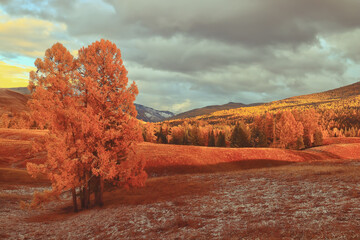 贵阳白云区到正安县全程高速怎么走