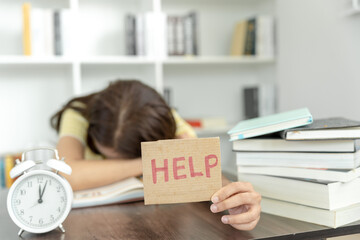 柳州哪些公园可以带狗狗进