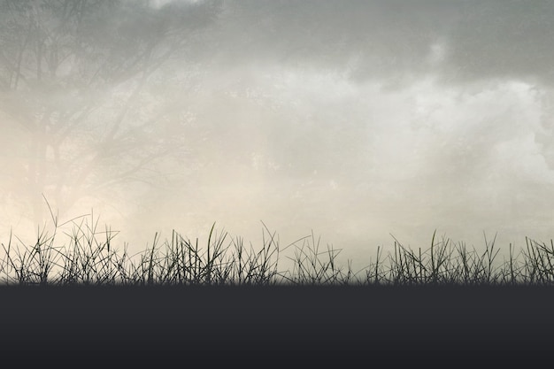 现在去哪旅游最合适