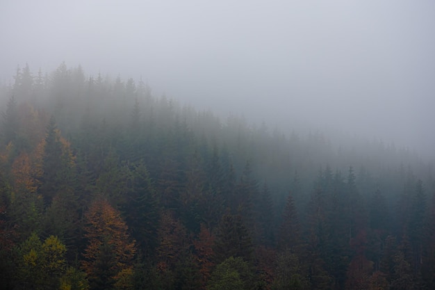 高铁站可以办临时身份证吗