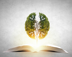 江宁区的地理环境