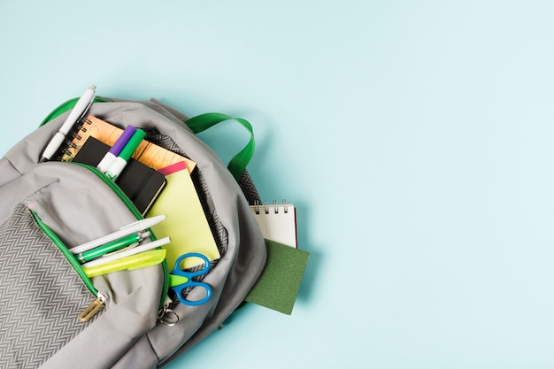 柳州哪些公园可以带狗狗进