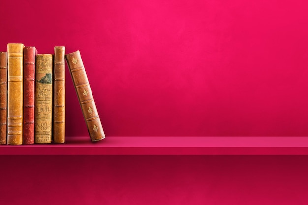 柳州哪些公园可以带狗狗进