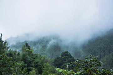 十大暖气片排名是谁